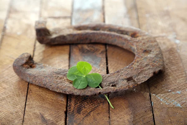 Zapato de caballo, con hoja de trébol —  Fotos de Stock