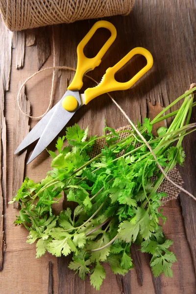 Cilantro on table close-up — Stock Photo, Image