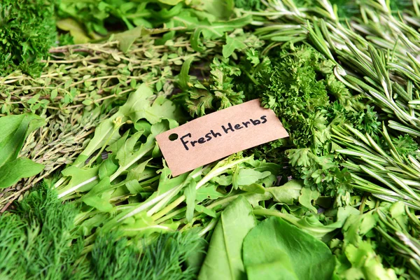 Different fresh herbs — Stock Photo, Image
