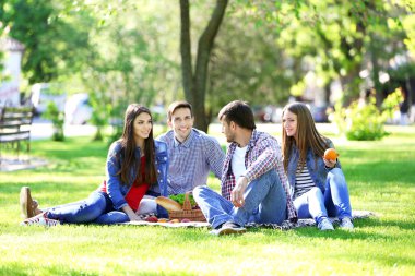 Parkta piknik üzerinde mutlu arkadaşlar