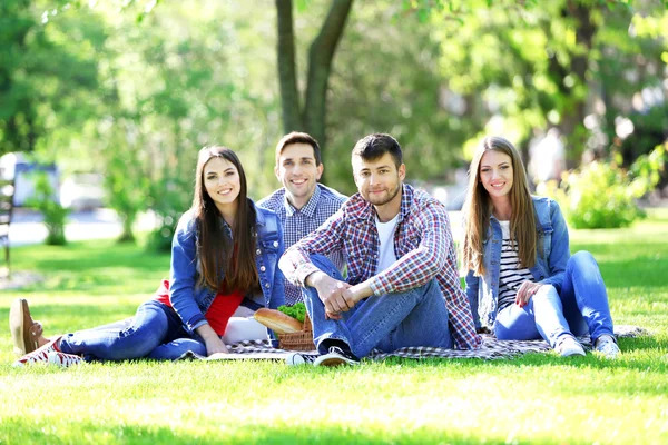 Parkta piknik üzerinde mutlu arkadaşlar — Stok fotoğraf