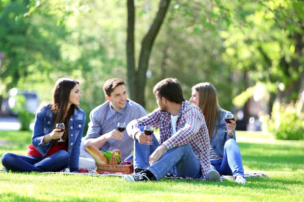 Lykkelige venner på piknik i parken – stockfoto