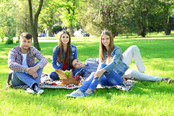 Parkta piknik üzerinde mutlu arkadaşlar — Stok fotoğraf