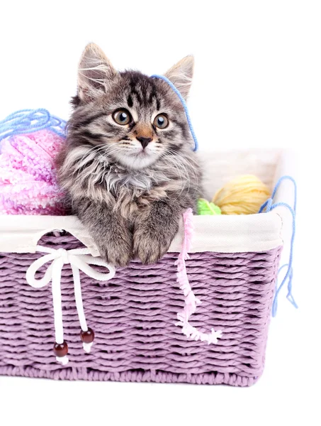 Gatito gris divertido y bolas de hilo en canasta de mimbre, aislado en blanco — Foto de Stock