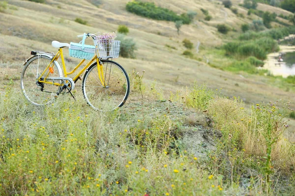 Cykel i ängen under solnedgången — Stockfoto