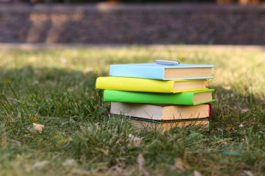 otların içinde yığılı kitaplar