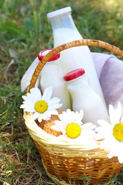 Lezzetli aperatif sepeti