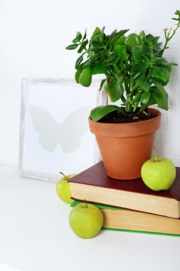 Oturma odasında rafta nesneleri