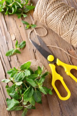 Tablo yakın çekim nane