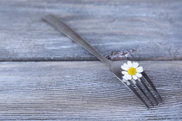 Fork with daisy flower — Stock Photo, Image