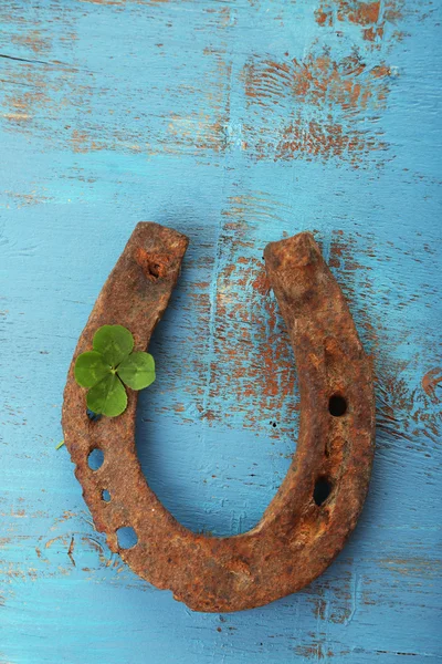 Altes Hufeisen — Stockfoto