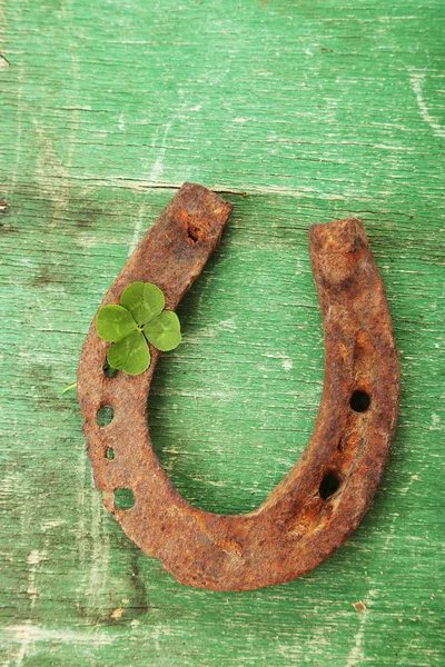 Altes Hufeisen — Stockfoto