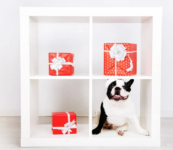 French bulldog with Santa hat and presents on sofa in room