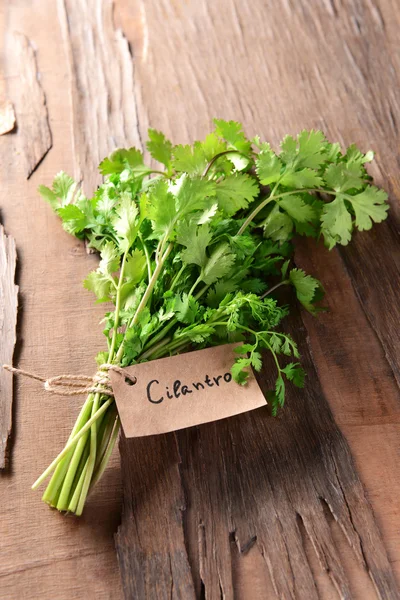 Cilantro on table close-up — Stock Photo, Image