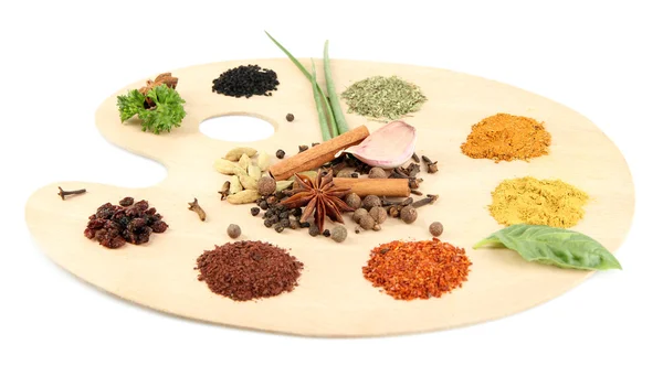 Painting palette with various spices and herbs, isolated on white — Stock Photo, Image