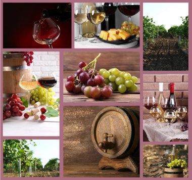 şarap kolaj