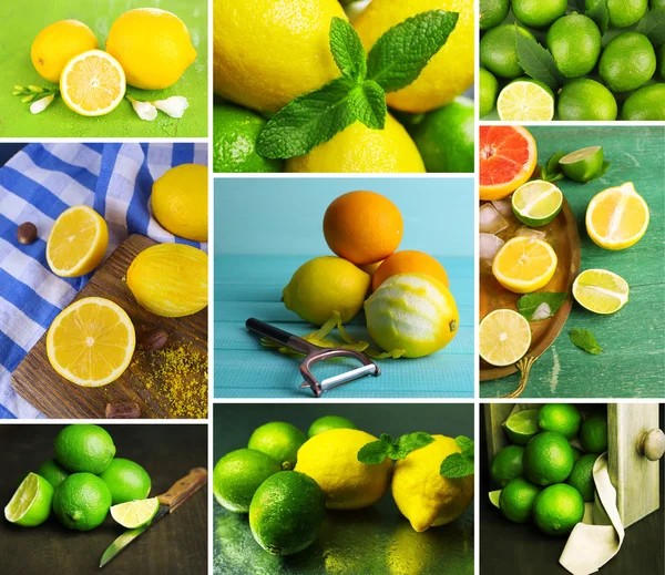 Collage de limes et citrons frais — Photo