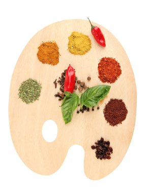 Resim paleti çeşitli baharatlar ile