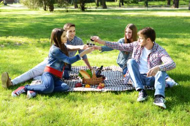 Piknik üzerinde mutlu arkadaşlar