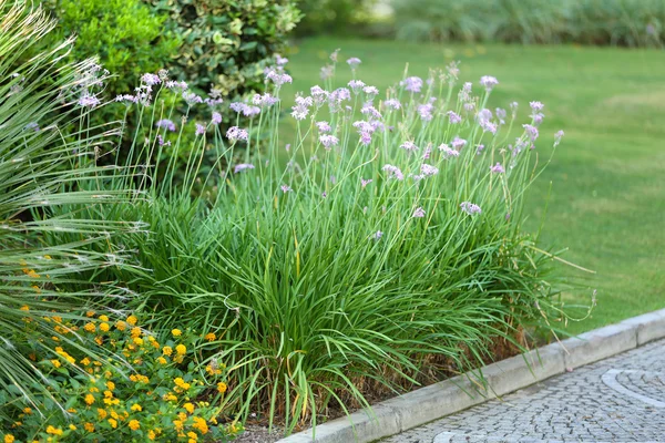 Prachtige landschapsarchitectuur in park — Stockfoto