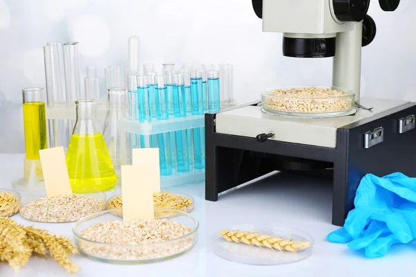 Pruebas microbiológicas para la calidad de los alimentos en el laboratorio de bioquímica —  Fotos de Stock