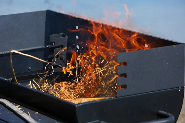 Barbacoa parrilla en la playa — Foto de Stock