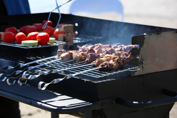 Skewers og grøntsager på grill - Stock-foto