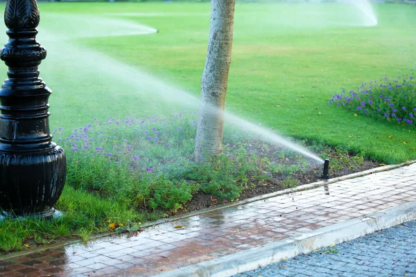 スプリンクラーの草に水をまく — ストック写真