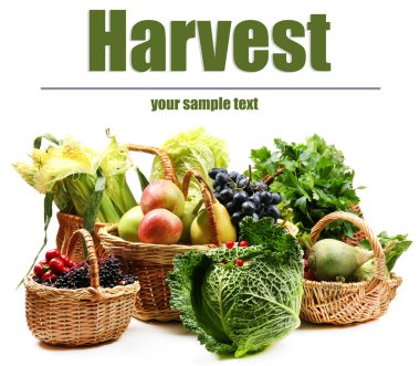 hasır sepetleri, taze organik sebze yakın çekim