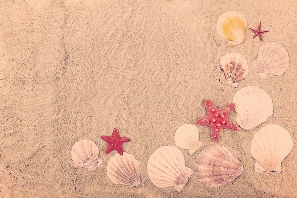Ракушки на песке, крупным планом — стоковое фото