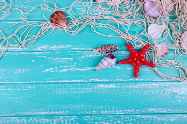 貝殻のクローズ アップ青い木製テーブルの上の装飾 — ストック写真