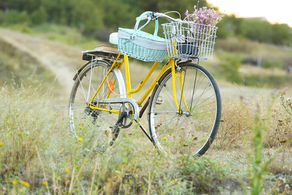 Geel fiets in weide — Stockfoto