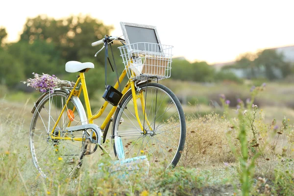 Bicicleta amarela no prado — Fotografia de Stock