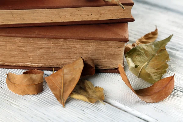 Bücher und trockene Blätter — Stockfoto