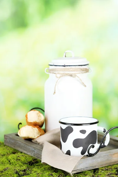 Вкусное деревенское молоко — стоковое фото