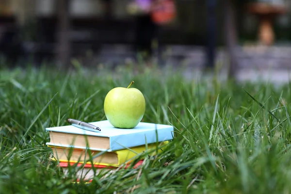 Stacked books in grass — Stock Photo, Image