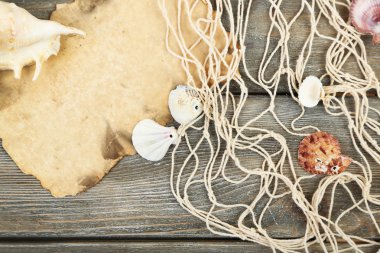 Deniz kabuklarını masada dekor
