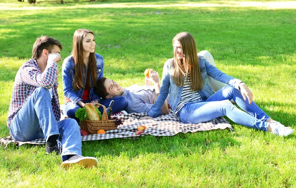 Amigos felices en el parque — Foto de Stock