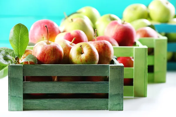 Juicy apples, close-up — Stock Photo, Image