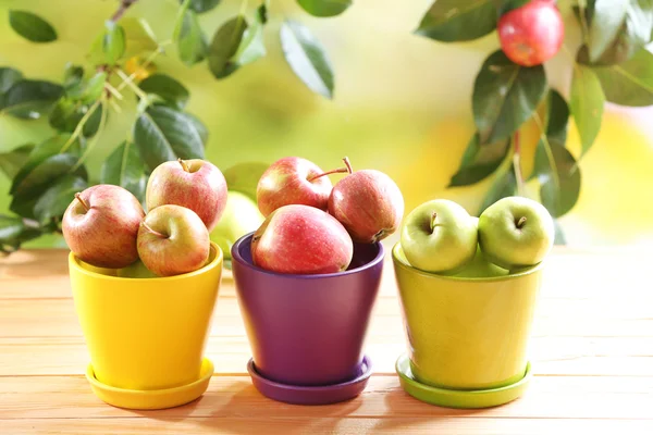 Juicy apples in pots, close-up — Stock Photo, Image