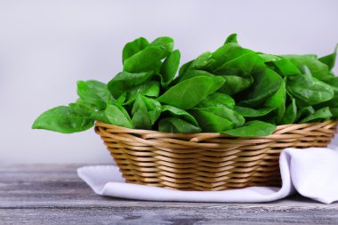 Hasır sepet içinde taze kuzukulağı