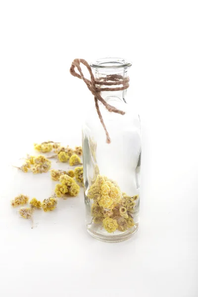 Láhev sušených květin — Stock fotografie