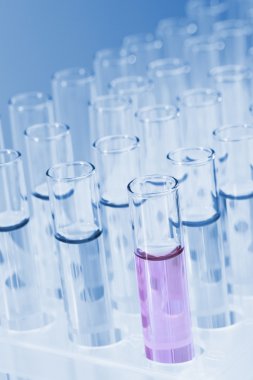 Test tüpleri mavi zemin üzerine sıvı ile