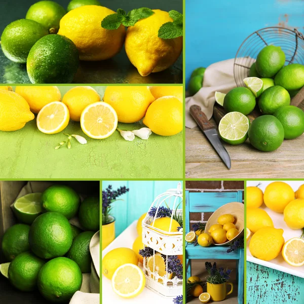 Collage de limes et citrons frais — Photo