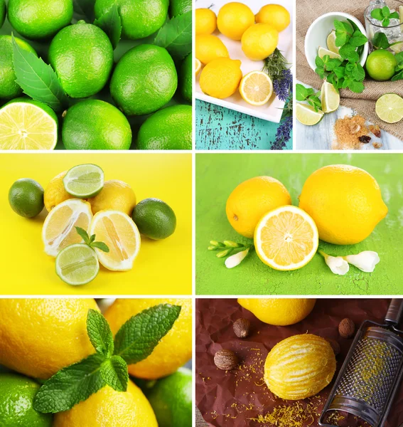 Collage de limes et citrons frais — Photo