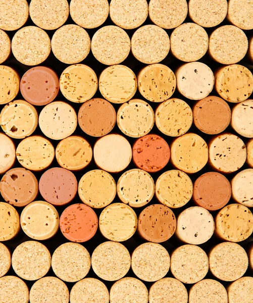 Wine corks close up — Stock Photo, Image