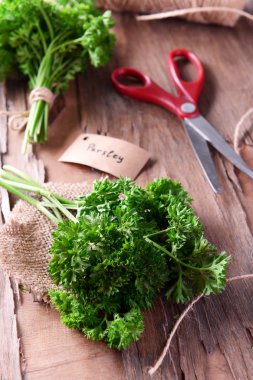 Maydanoz ve tablo için makaslar
