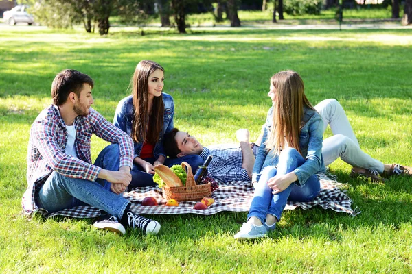 Happy Vänner Picknick Parken — Stockfoto