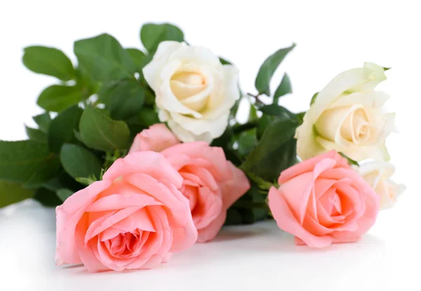 Vackra rosor på vit — Stockfoto