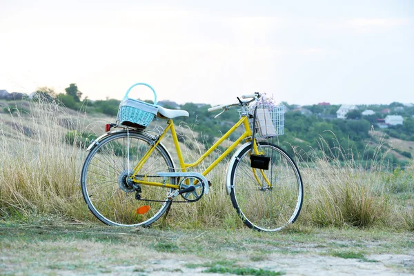 Cykel i solnedgången äng — Stockfoto